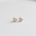 The Tiny Stellar Studs