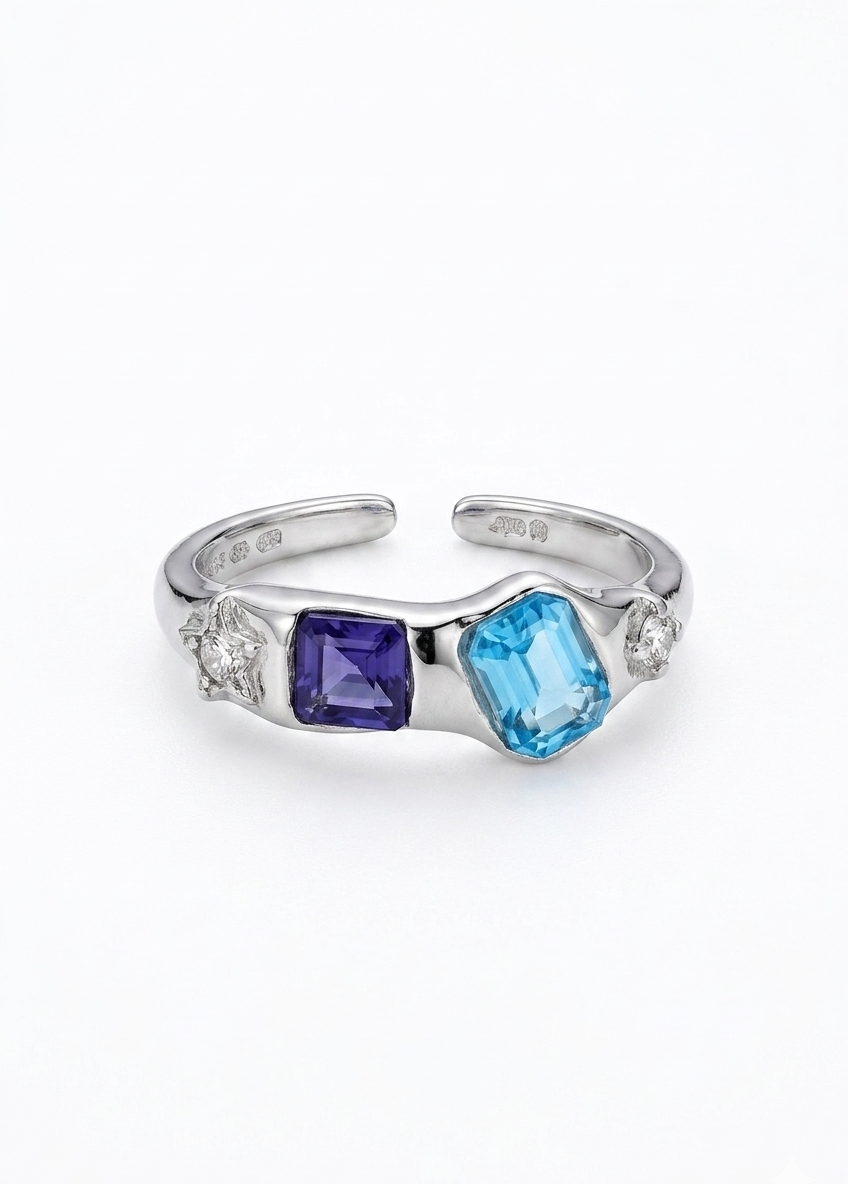 Geometric Duo Ring