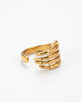 The Gilded Grasp Ring