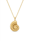 The Eternal Nautilus Shell Necklace