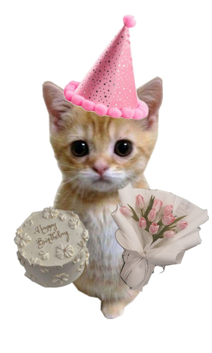 The Birthday Edit