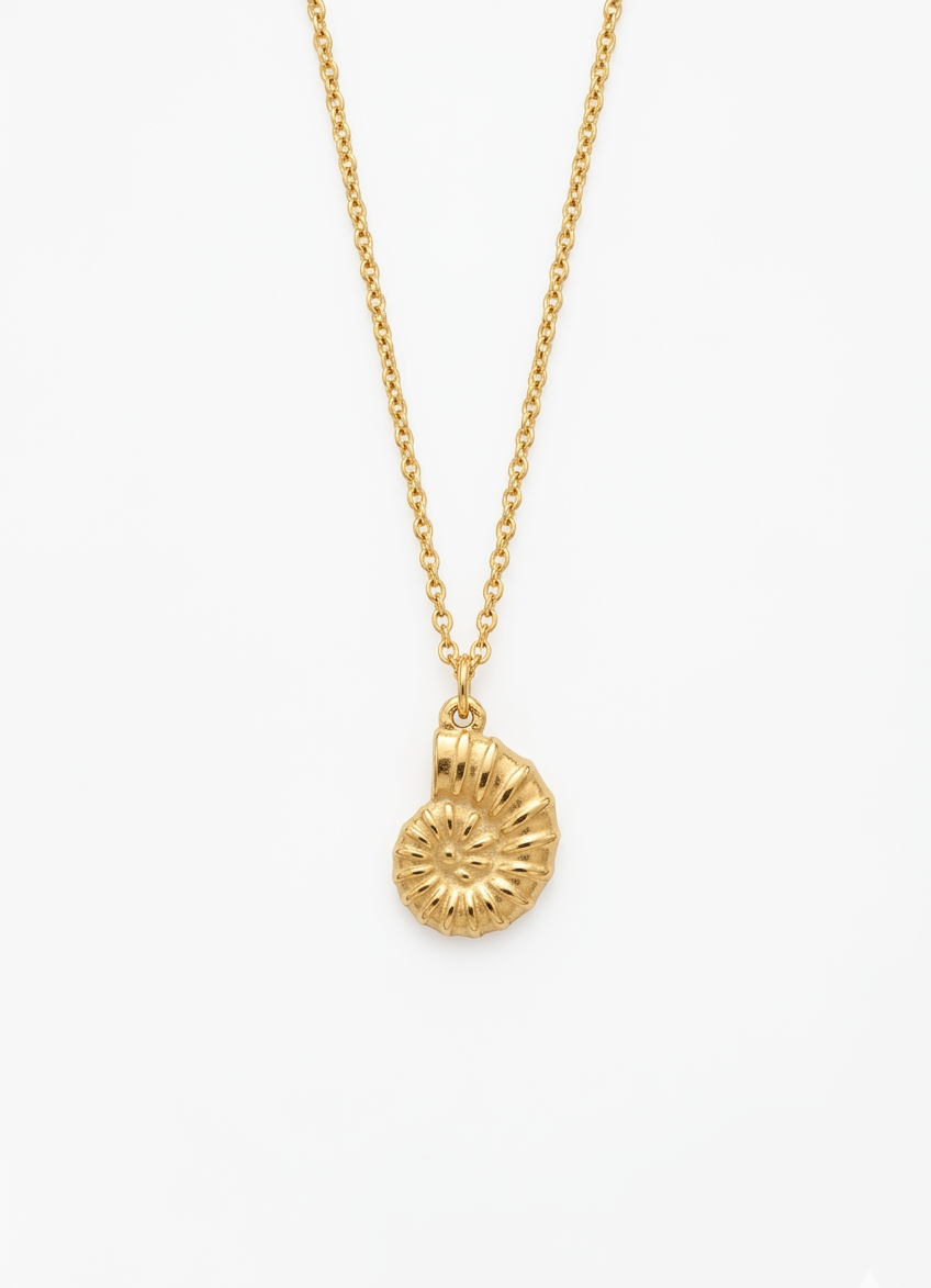 Nautilus Shell Necklace