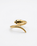 the Serpentine Rin